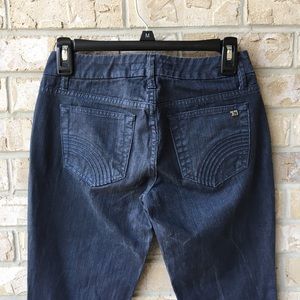 JOE'S Jeans Honey Fit Sparkle Gray Denim Size 25